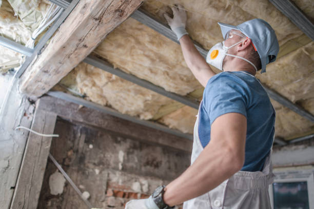 Best Insulation Removal  in Lynchburg, TN