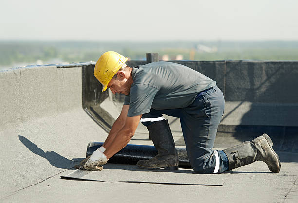 Best Professional Insulation Contractor  in Lynchburg, TN